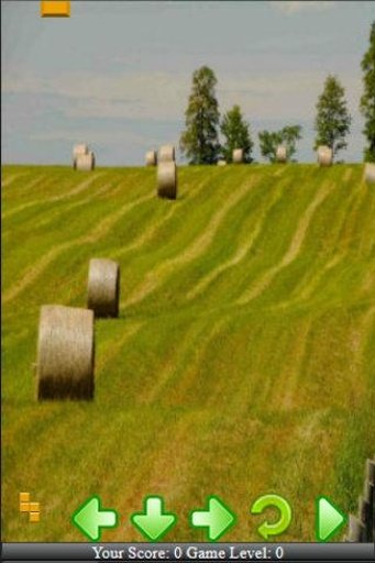 Hay Harvest Day 2截图1