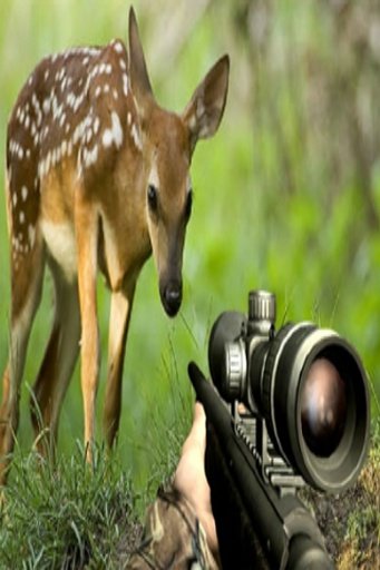 Hunting For Deer截图6