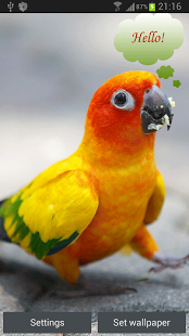 Talking Parrot 2截图2