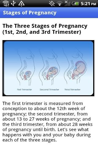 怀孕常识截图5