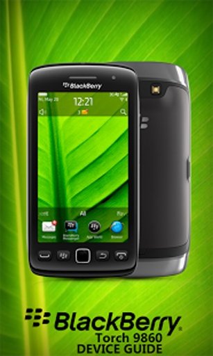 BlackBerry Torch截图5