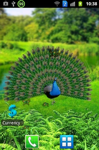 Peacock Butterfly截图2