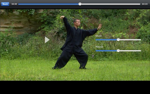 Tai-Chi Lite截图6