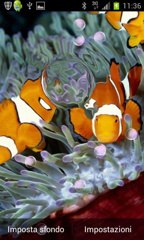 Fish and Bubbles Live Wallpape截图3