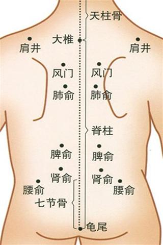 儿童穴位图截图2