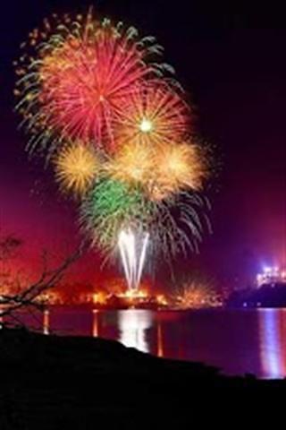 New Years Fireworks截图5