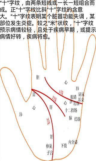 大师免费看手相截图1