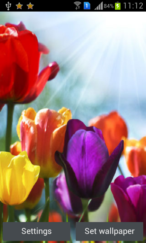 HD Flowers Live Wall Paper截图6