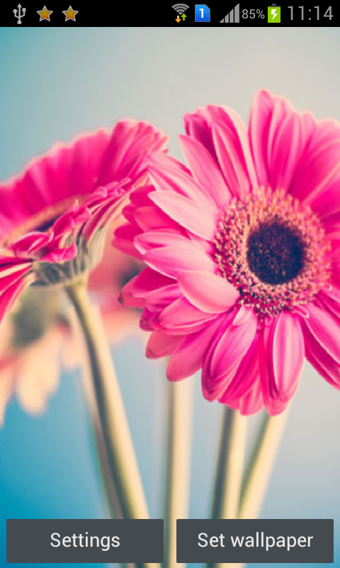 HD Flowers Live Wall Paper截图2