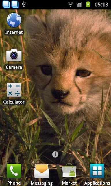 Baby Cheetah Live Wallpaper截图1