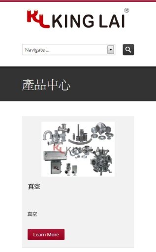 KING LAI 新莱应材科技有限公司截图4