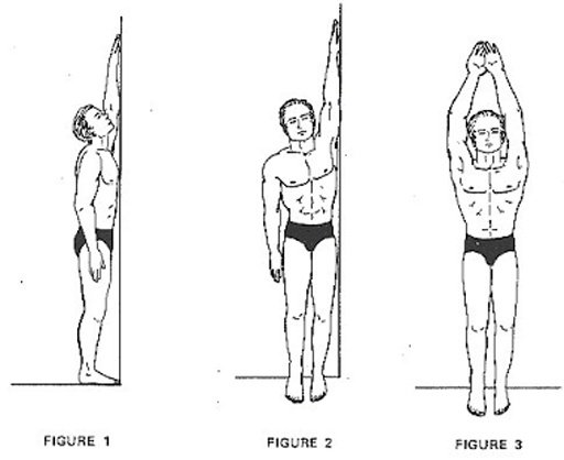 How to Grow Taller Fast截图1