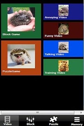 The Talking Hedgehog截图7