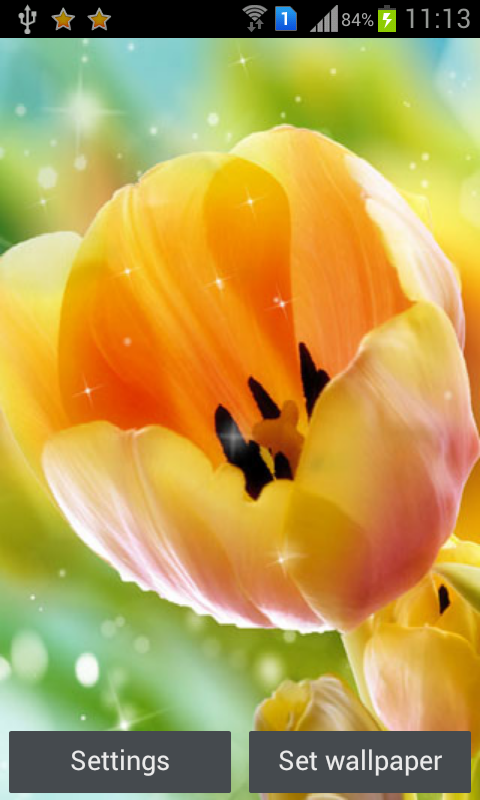 HD Flowers Live Wall Paper截图7