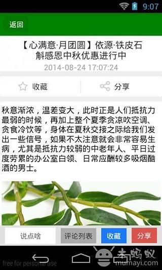 霍山石斛网截图3