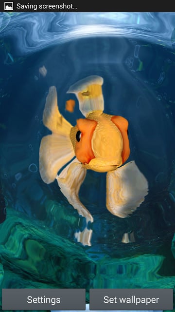 Goldfish Swim In Phone LWP截图7