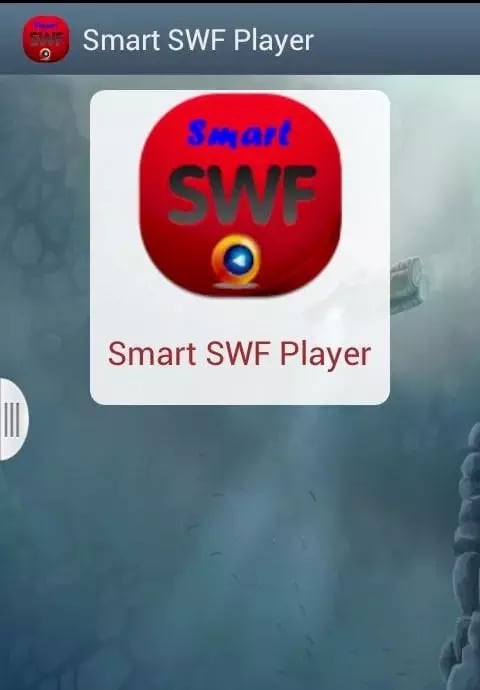 Smart SWF Player截图5