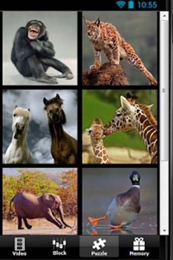 Zoo Funny Story Games截图6