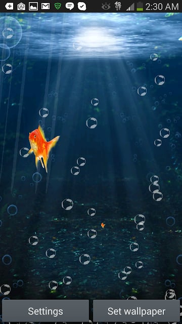 Goldfish Swim In Phone LWP截图2