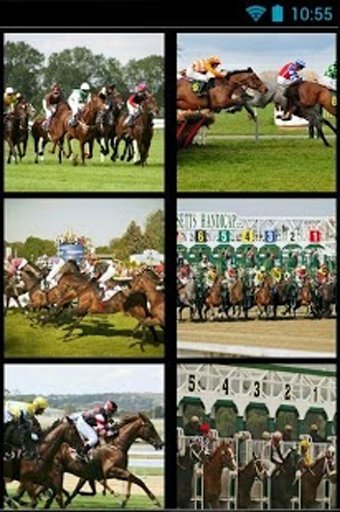 Horse Racing Frenzy截图1