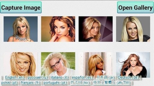 Britney Spears Jigsaw Puzzle截图5