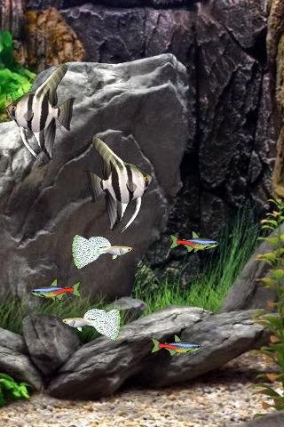 Fish Tank LWP截图1