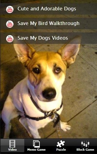 Save My Puppy截图1