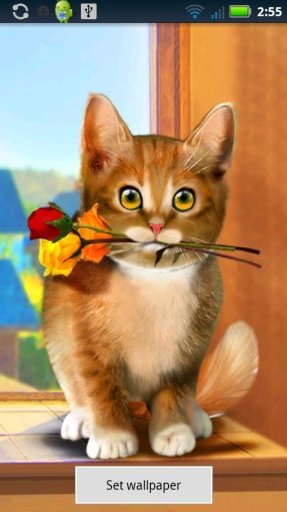 Valentine Cat Live Wallpaper截图2