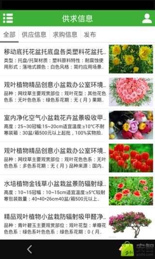 重庆鲜花绿植截图3