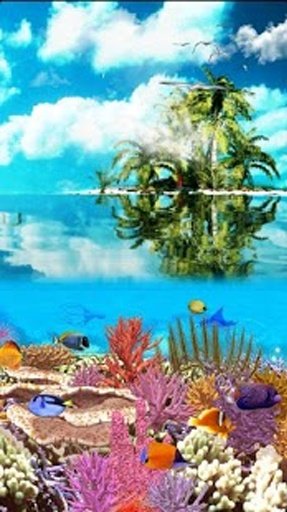 Amazing Undersea Aquarium截图7