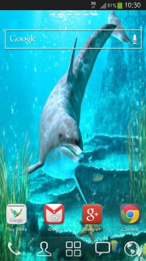 Sweet Dolphins Live Wallpaper截图5