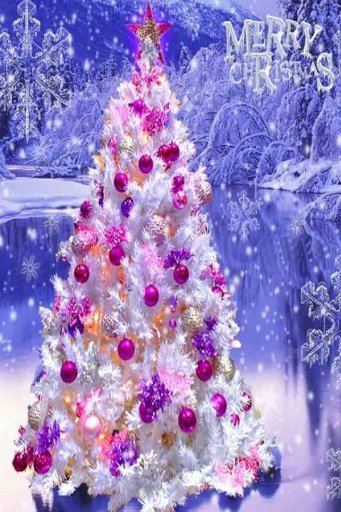 3D Live Christmas Wallpaper截图1