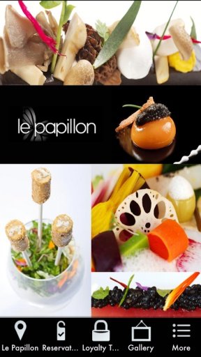 Le Papillon截图4