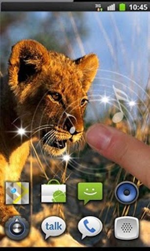 Lion Wild Hunt live wallpaper截图4