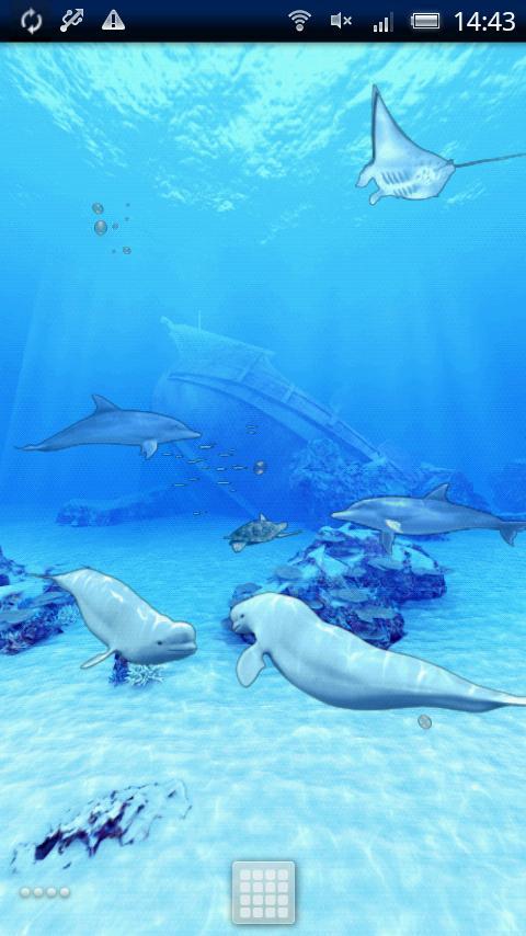 Beluga Whales Friends Trial截图3