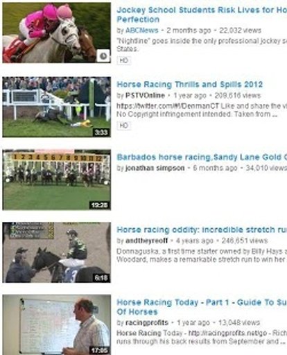 Horse Racing Frenzy截图5