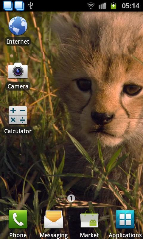 Baby Cheetah Live Wallpaper截图3