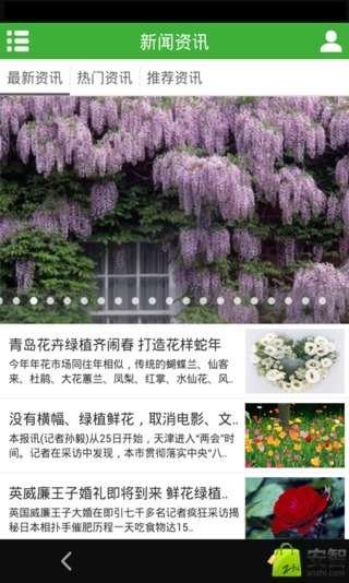 重庆鲜花绿植截图4