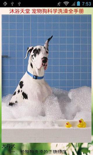 让狗狗爱上洗澡技巧截图2