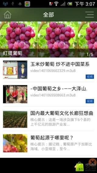 中国葡萄截图4