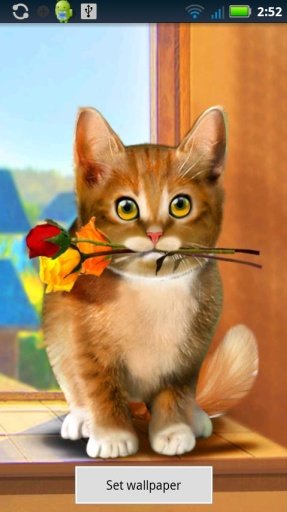 Valentine Cat Live Wallpaper截图3