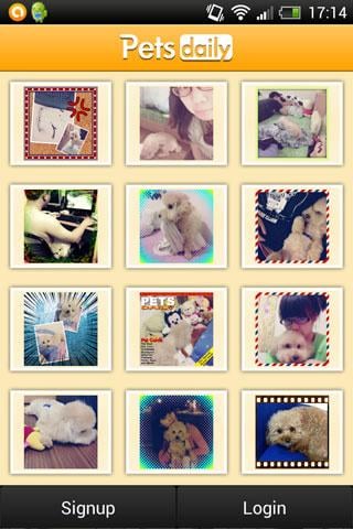 Pets Daily截图2