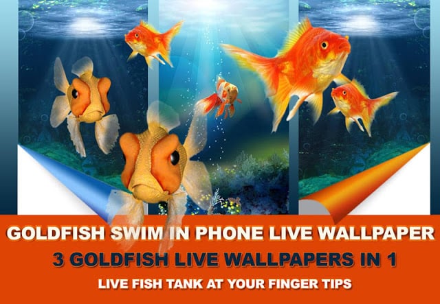 Goldfish Swim In Phone LWP截图3