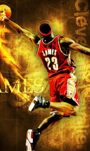 Lebron James Live Wallpapers截图1