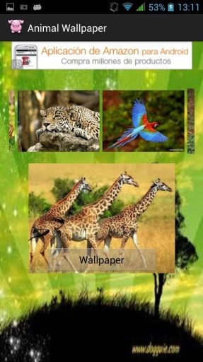 Animal Wallpaper截图2