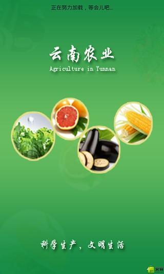 云南农业网截图1