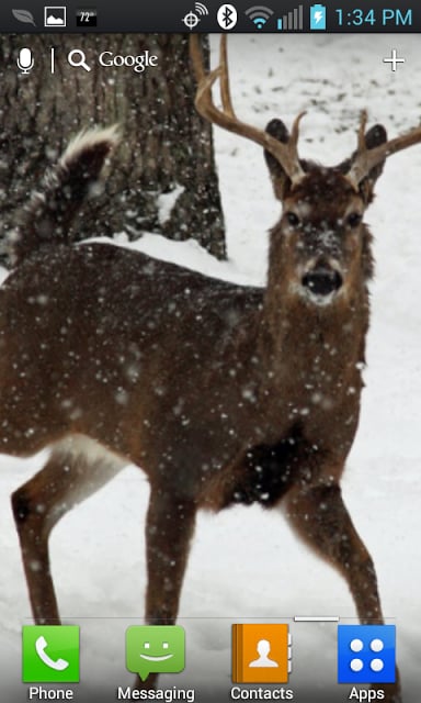Deer Hunters Live Wallpaper截图4