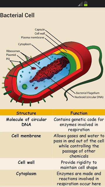 GCSE Additional Science - OCR截图4