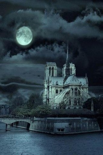 Paris Night截图6