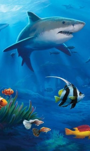 Ocean Aquarium 3D Free LWP截图4